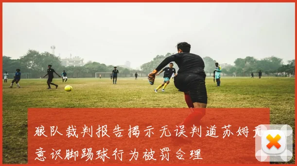 狼队裁判报告揭示无误判道苏姆无意识脚踢球行为被罚合理